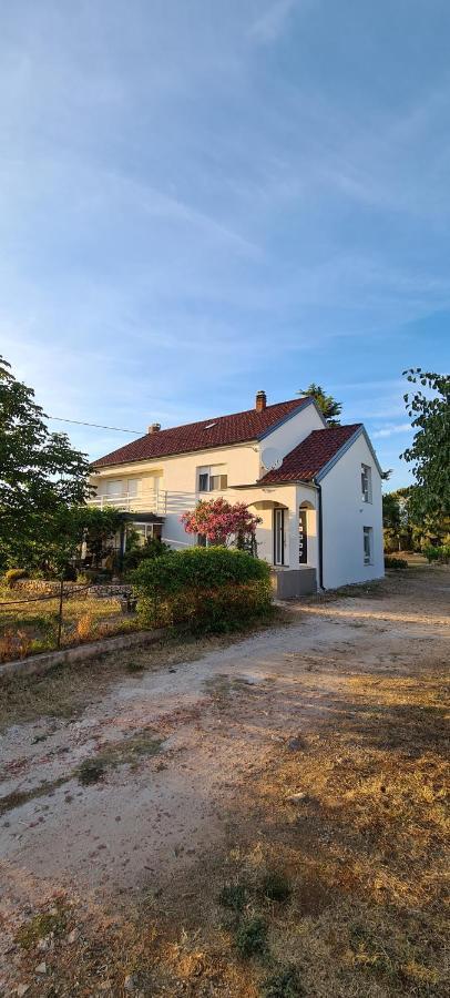 Apartment Brigitte Vrsi Eksteriør billede