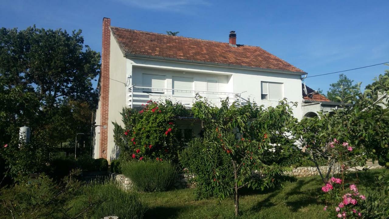 Apartment Brigitte Vrsi Eksteriør billede