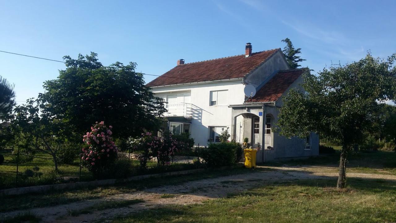 Apartment Brigitte Vrsi Eksteriør billede